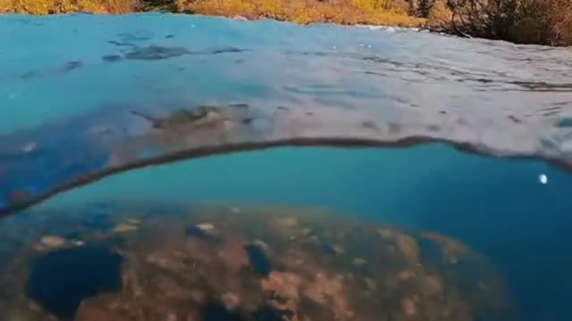 The water was so clear we could see the bottom of the lake.