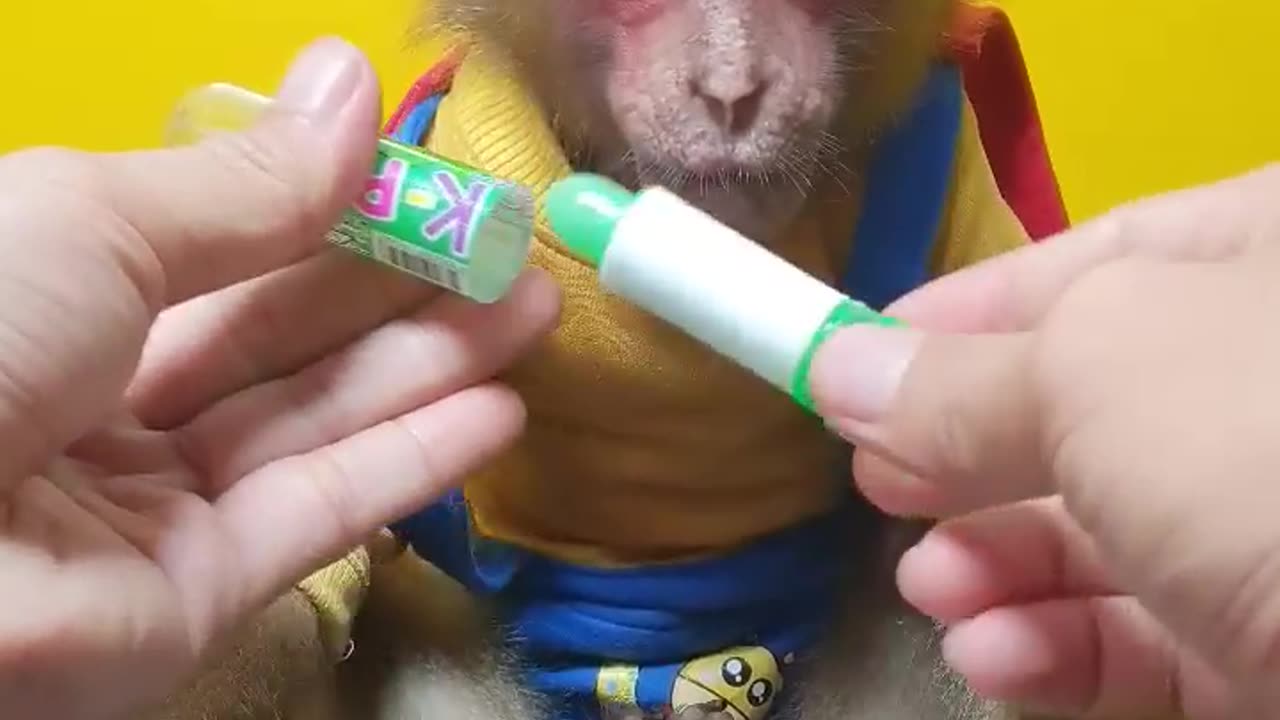 Monkey review candy and funny reaction