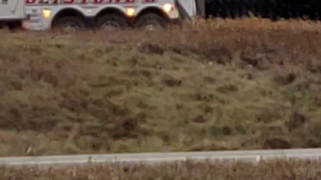 Wind damage wisconsin