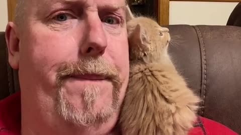 My Parrot is Broken