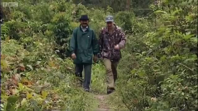 Interviewing Ex-Rhino Poachers | Saving Planet Earth: Rhino | BBC Earth