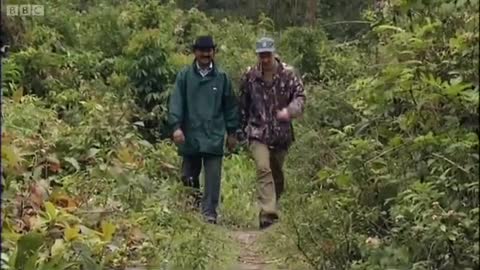 Interviewing Ex-Rhino Poachers | Saving Planet Earth: Rhino | BBC Earth