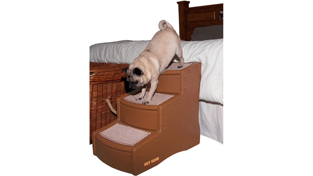 Pet Gear Cocoa Easy Steps