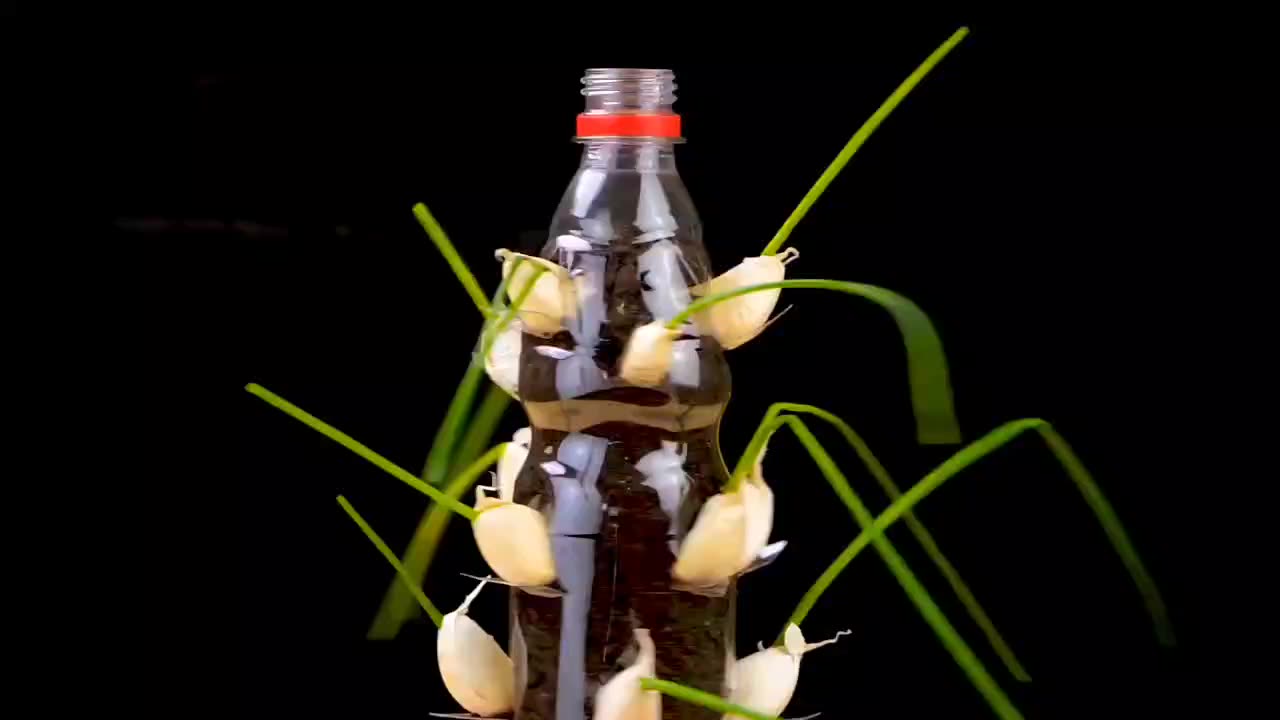 Easy Recycle Hacks Trash to Treasure