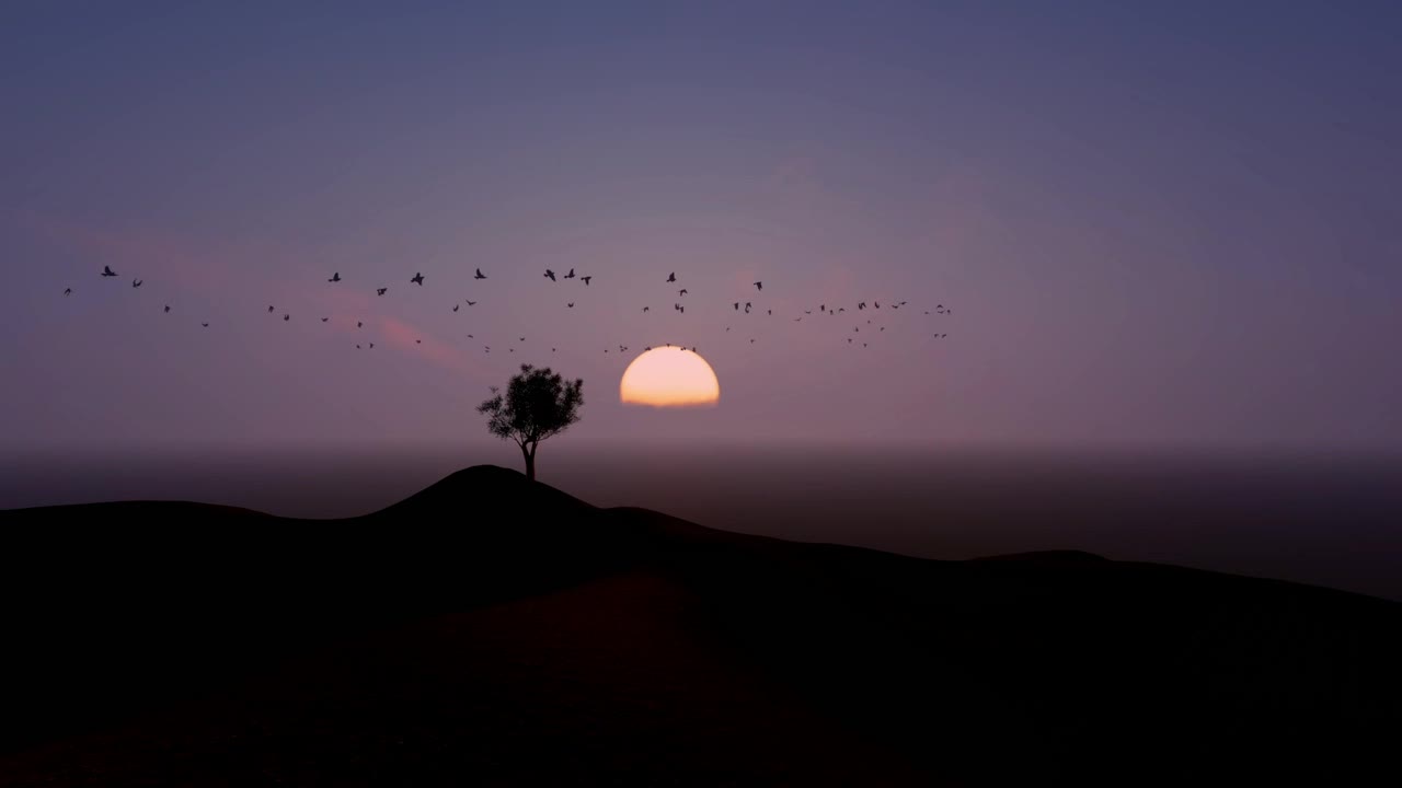 birds in nature on a rising sun