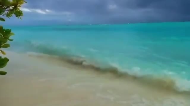 Best Amazing Beach Happy Good Vibes