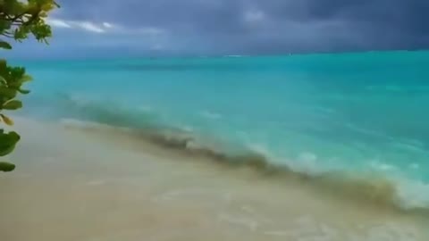 Best Amazing Beach Happy Good Vibes