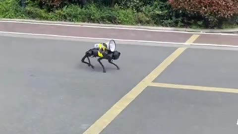 Een robothond patrouilleert in de lege straten van Shanghai