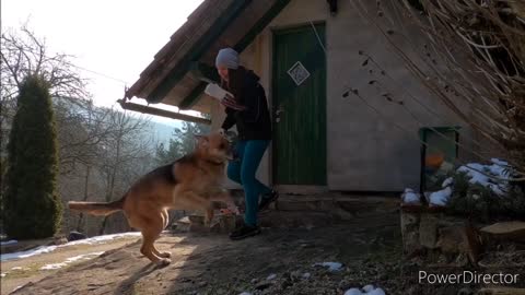 My cute dog. The dog🐕 is waiting for his owner to go outside. The dog is very happy to see .