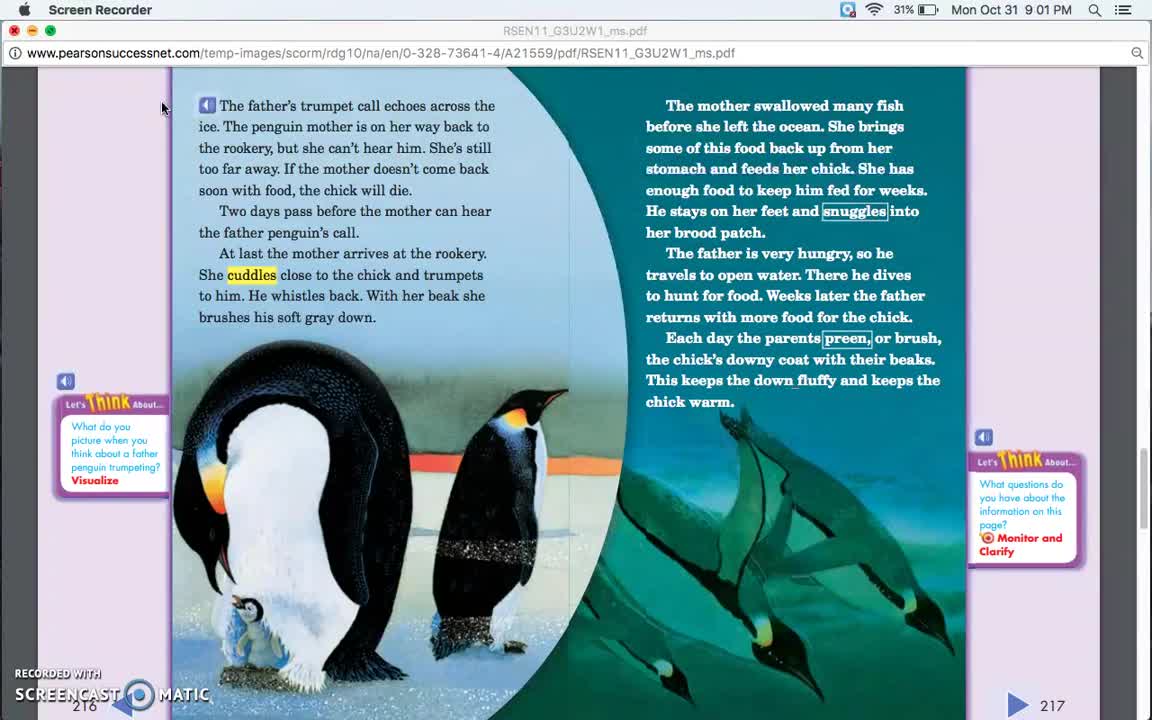 "penguin chick" (read aloud)