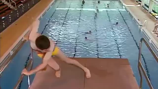 Mr DIVE Bean