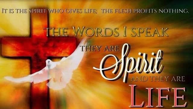 The Lion's Table: God's Words Are Spirit and Life!