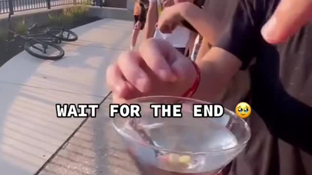 WAIT FOR THE END