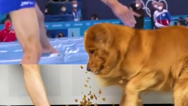 Watch the whole video and see dog 🐕 Reaction 😱💥 while eating food.