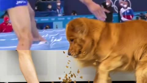 Watch the whole video and see dog 🐕 Reaction 😱💥 while eating food.