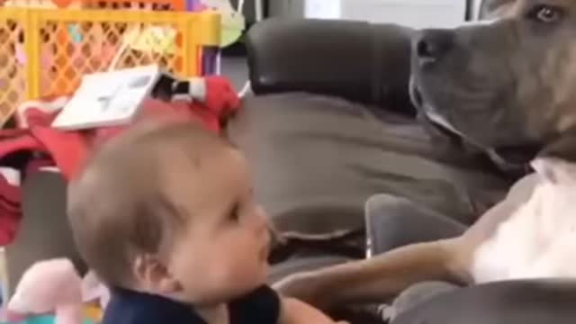 Dog teaching baby human how to bark