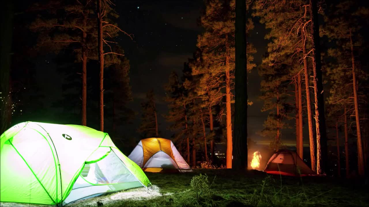 1 Hours of Relaxing Campfire Night Sounds With Insects & Dog