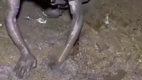 This is a beautiful and charming water-dwelling species