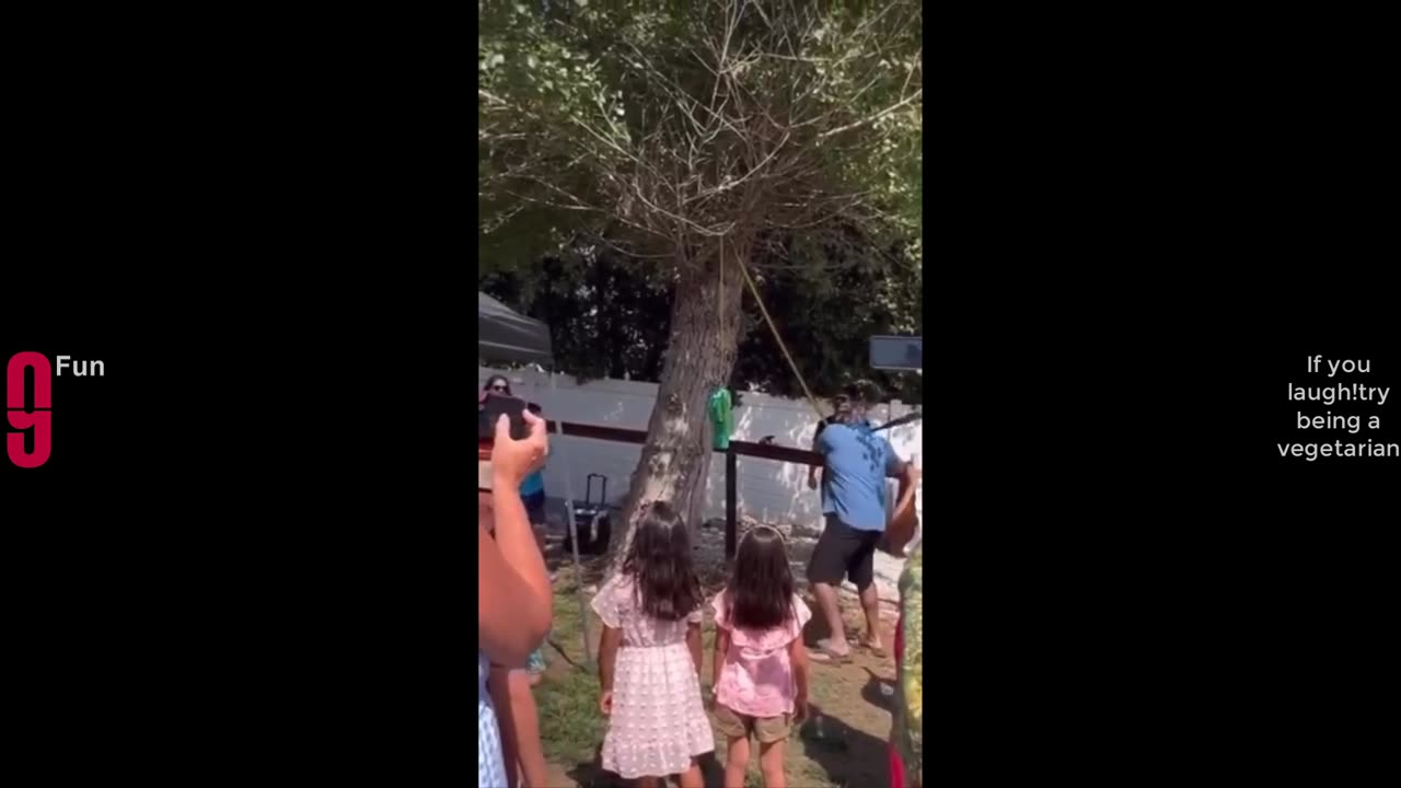 TRY NOT TO LAUGH Best Funny Videos Compilation Memes