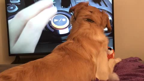 Squeaky Chicken on YouTube