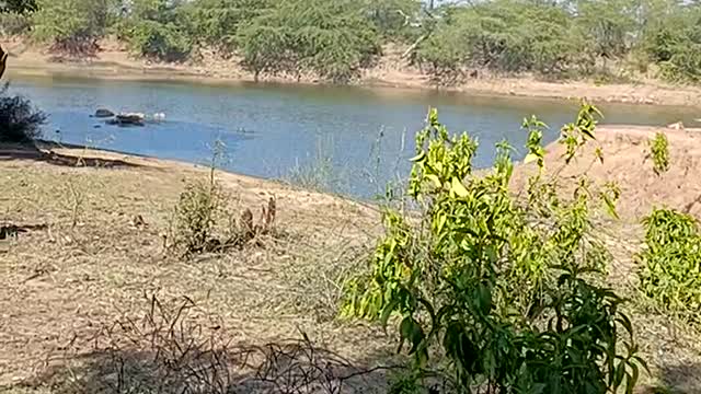 Natural view of Mountain, Aravali Hills Dhadyani