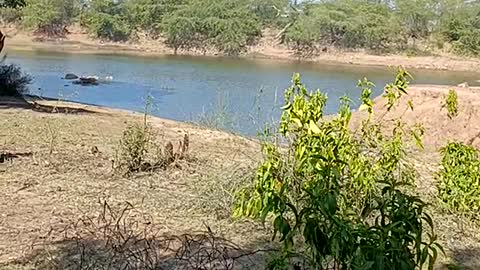 Natural view of Mountain, Aravali Hills Dhadyani