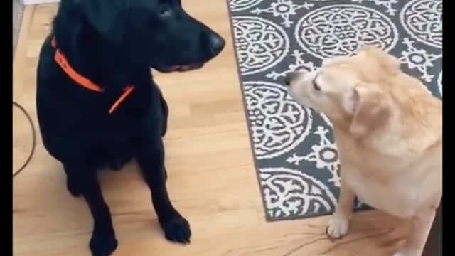 If you a feeling a little down! Watch This