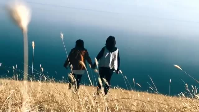 Friends are traveling