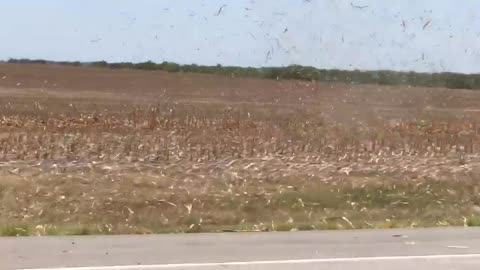 Corn Husks Twirl as Dirt Devil Forms