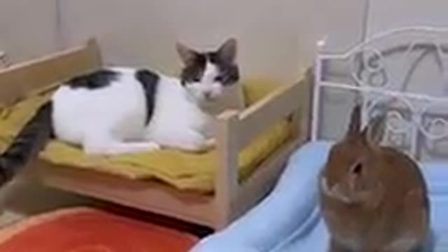 Nighty night, sleep tight!