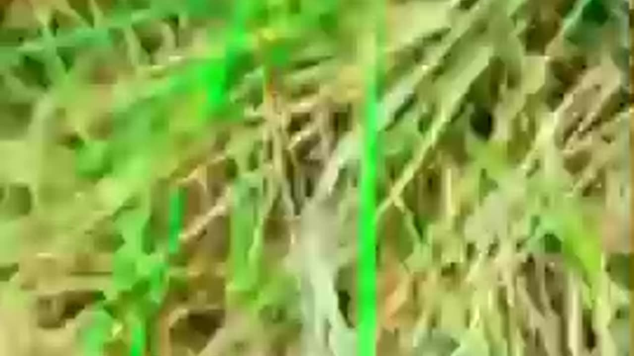 Run baby run 😂😂😂