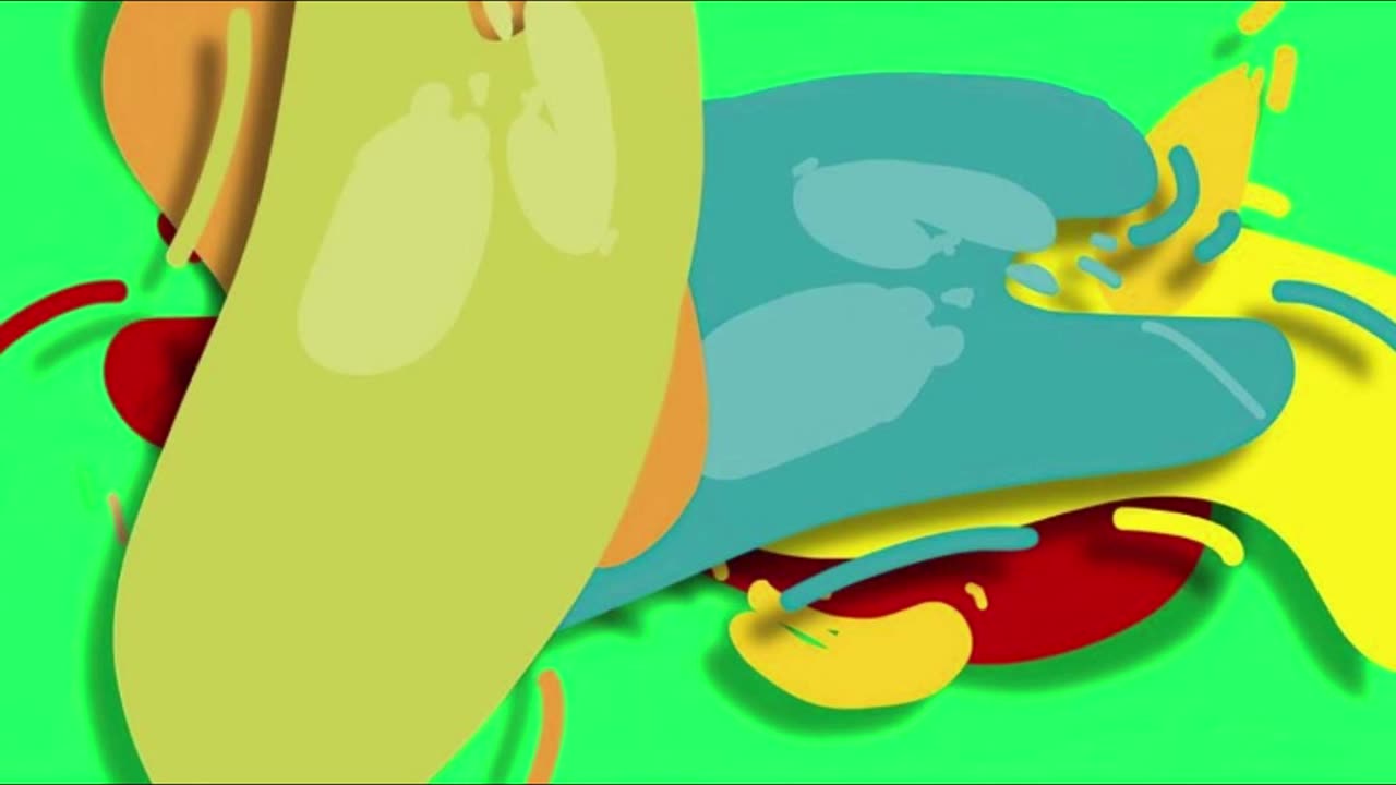 #human #organs #facts #interestingfacts