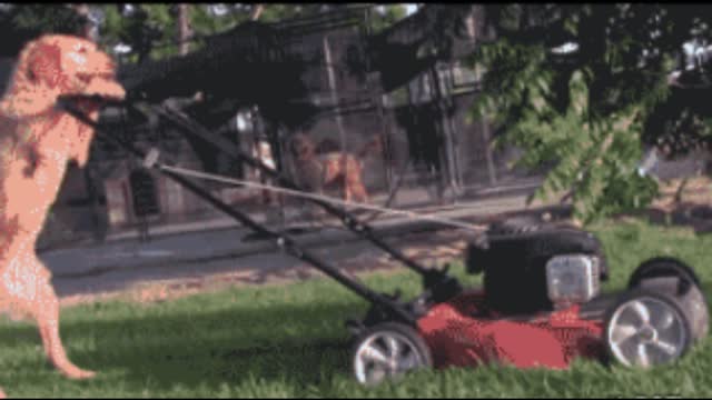 Gif video of dog cutting grass