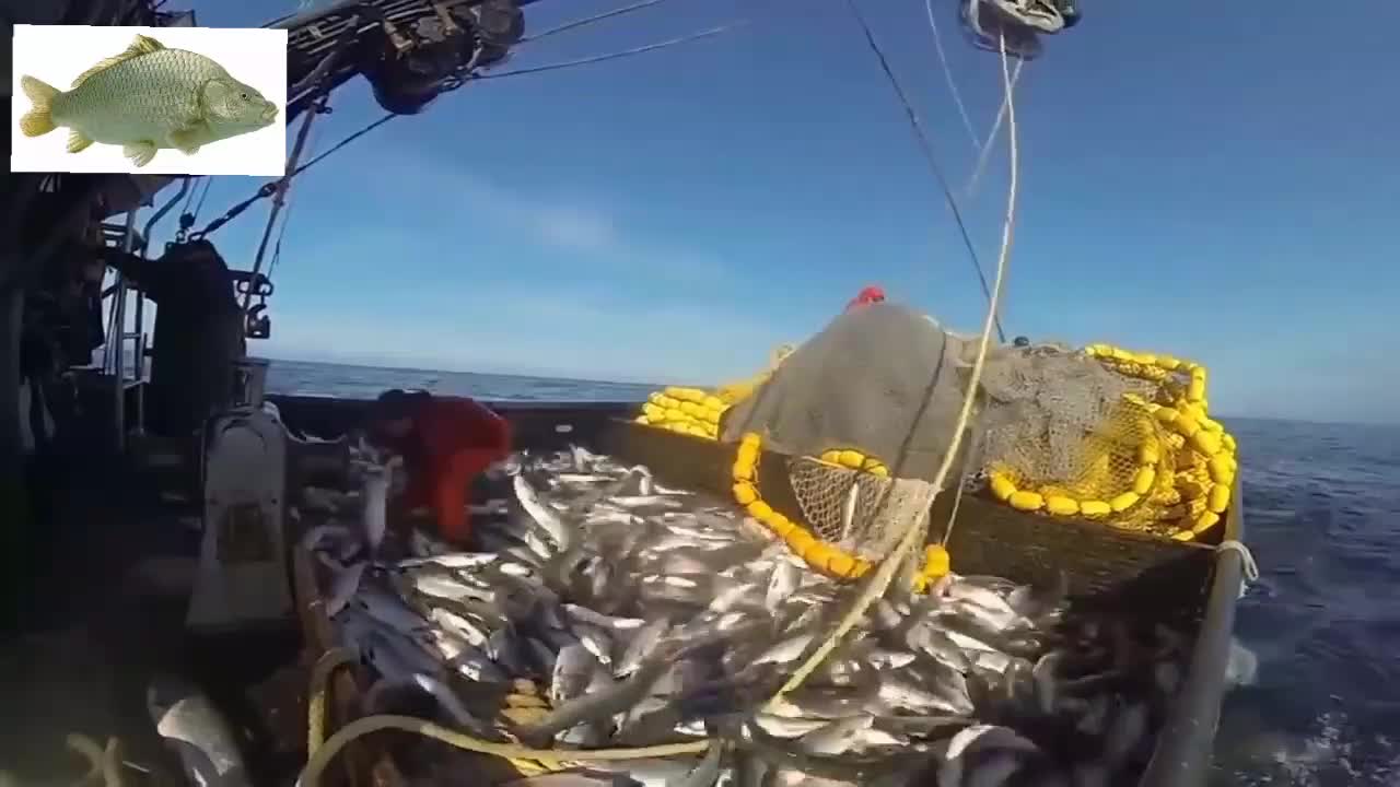 SEA FISHING SYSTEM