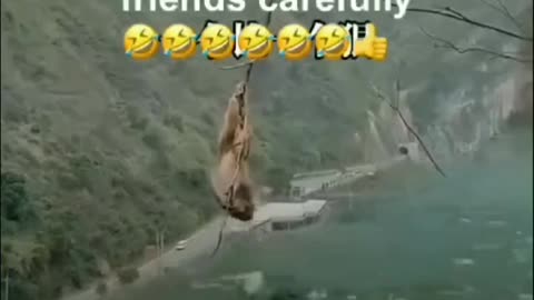 Fake Friends!!