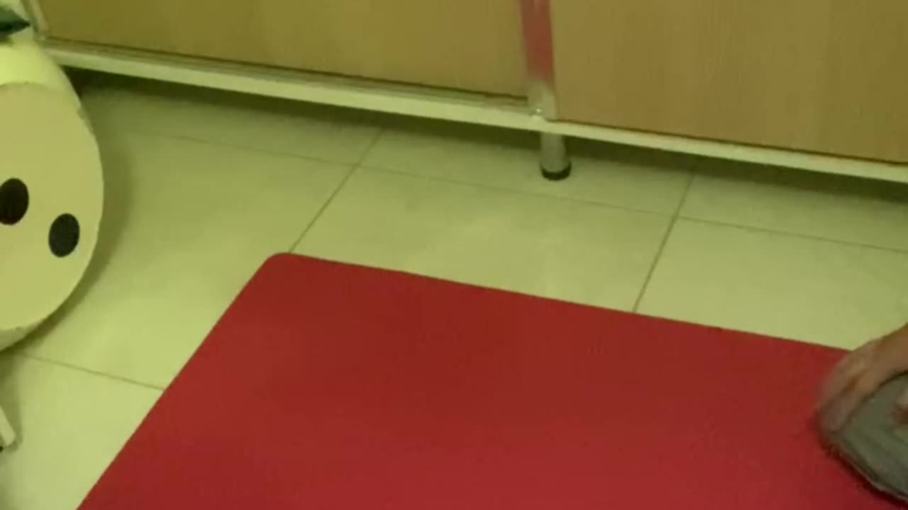 100 push-ups Copy Review Aikido
