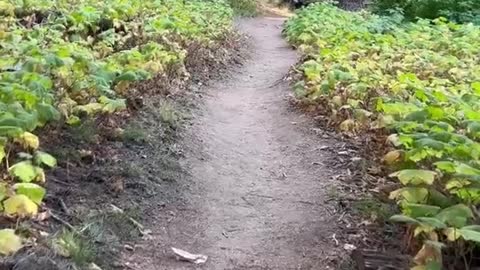 Check out this hike