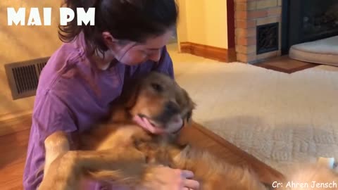 Dogs Showing Love to Their Humans