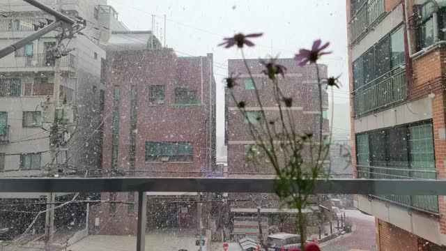 Beautiful snowflakes from my office, slow motion video