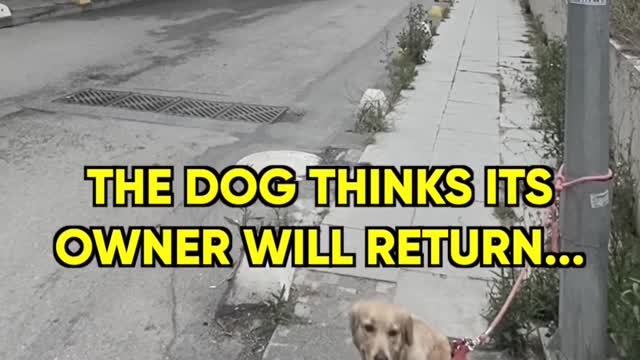 THIS WILL MELT YOUR HEART...