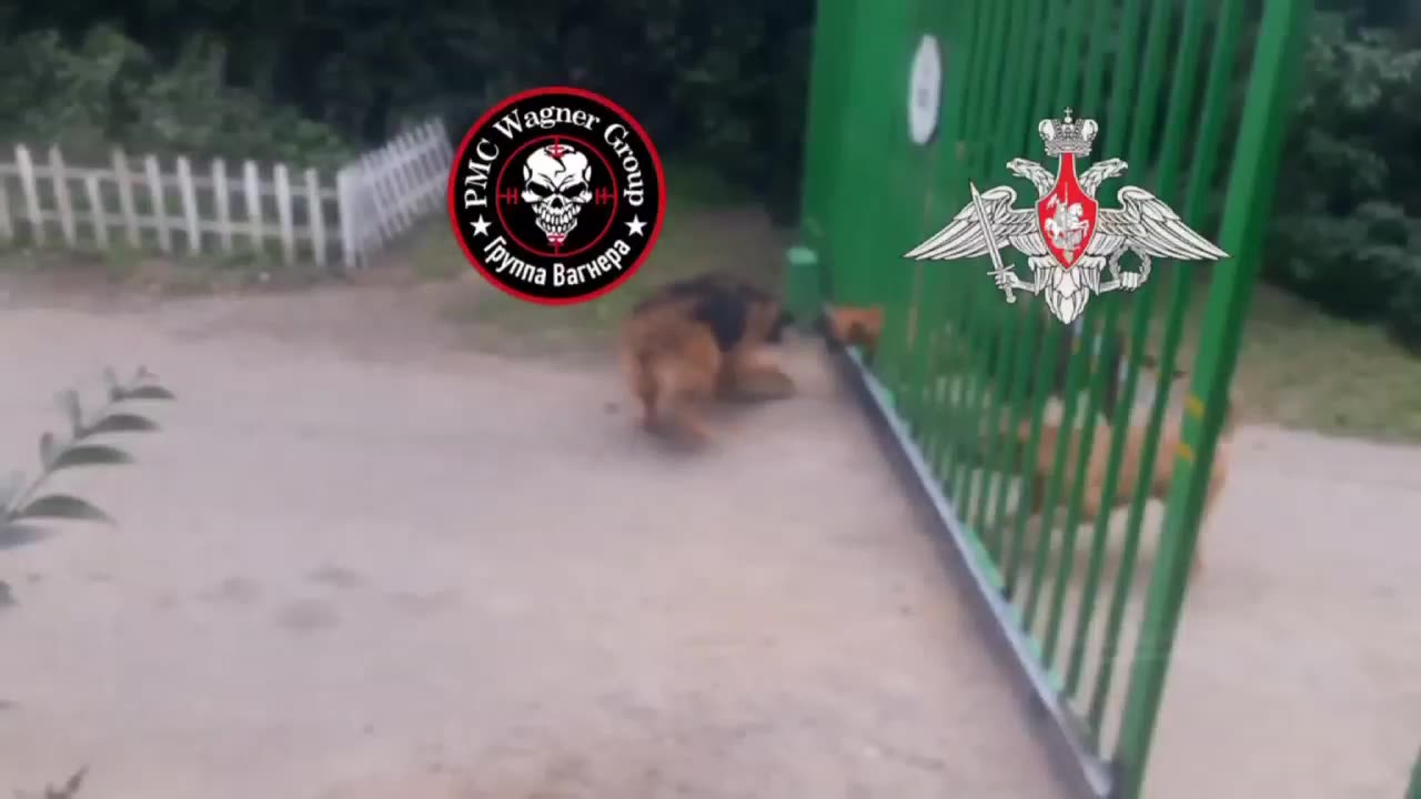 Some more memes in the context of the situation