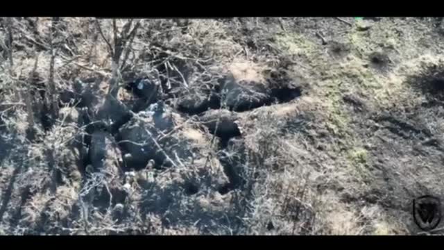 DENAZIFICATION - HEAVY LOSSES FOR THE NAZIS