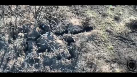 DENAZIFICATION - HEAVY LOSSES FOR THE NAZIS