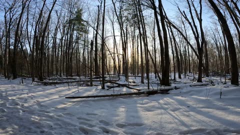 ❄️⛄🏂🎿 Winter Wonderland Edition ☀️🌴 Hiking Pinhey Forest Part 1 In Ottawa Canada 🍁☀️⛄