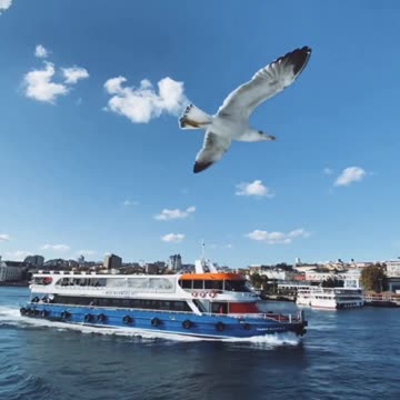 #viralchallenge #video #virals #vlog #viral #view