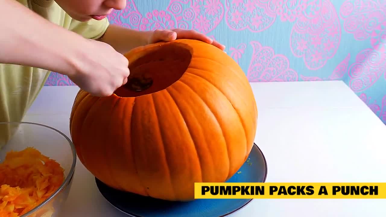 CATS EAT PUMPKIN