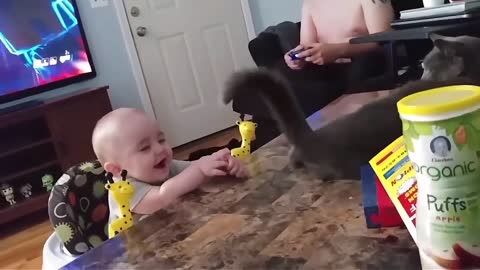 cute babies and their pets funny videos to laugh