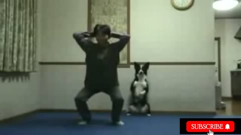 Dog and owner getting there squat on! Shocking funny video of talented animal.