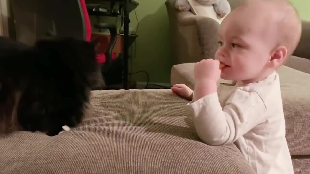 Funniest Baby And Cat