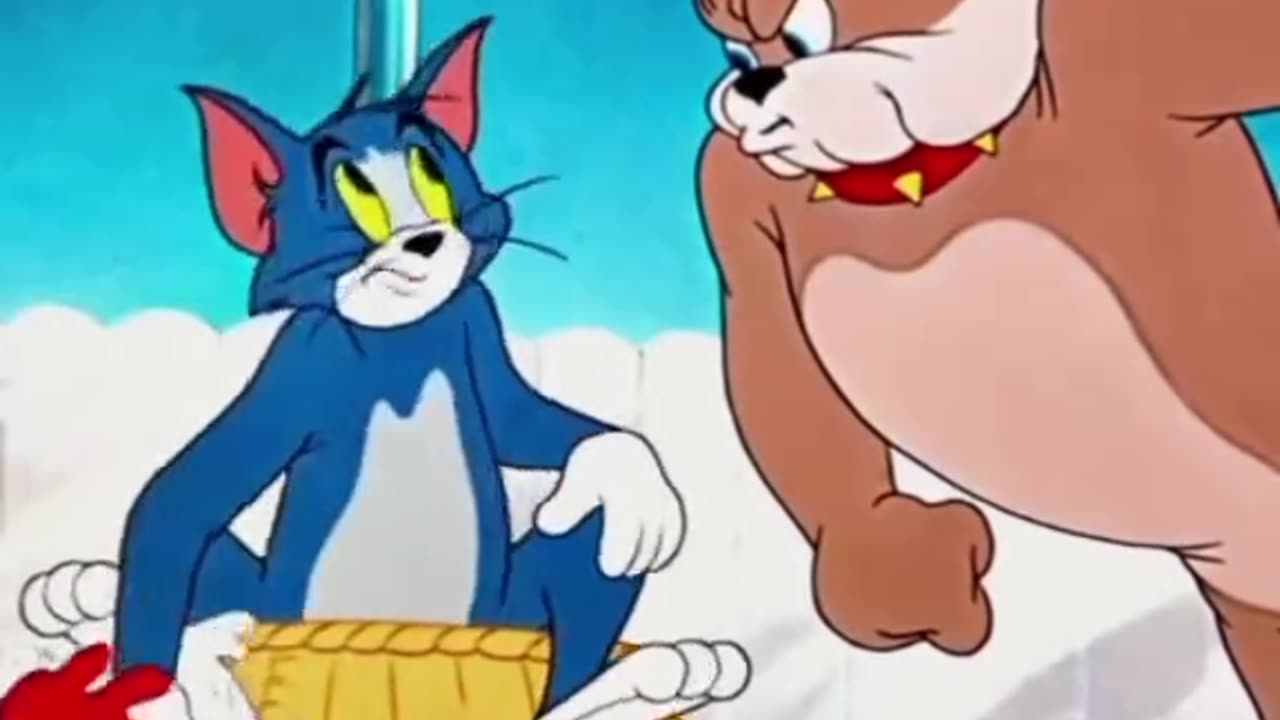 #tom&#jerry